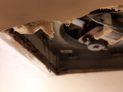 Professional basement flood restoration services services in Vancouver